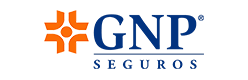 GNP