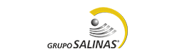 GRUPO-SALINAS